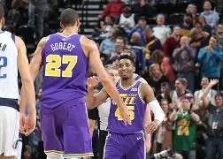 bbin网址-黄蜂恢复正常状态，主场大胜独行侠的简单介绍